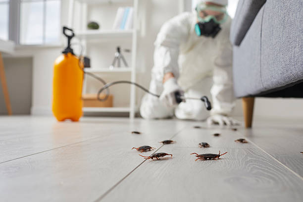 Trusted Fumigation Services service in Country Club Hills, IL - Nex Pest Control